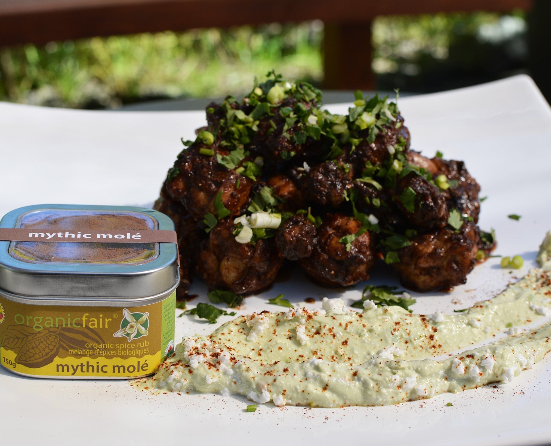 Mole Poblano Chicken Wings served on plate with mythic mole spice - organicfair.com