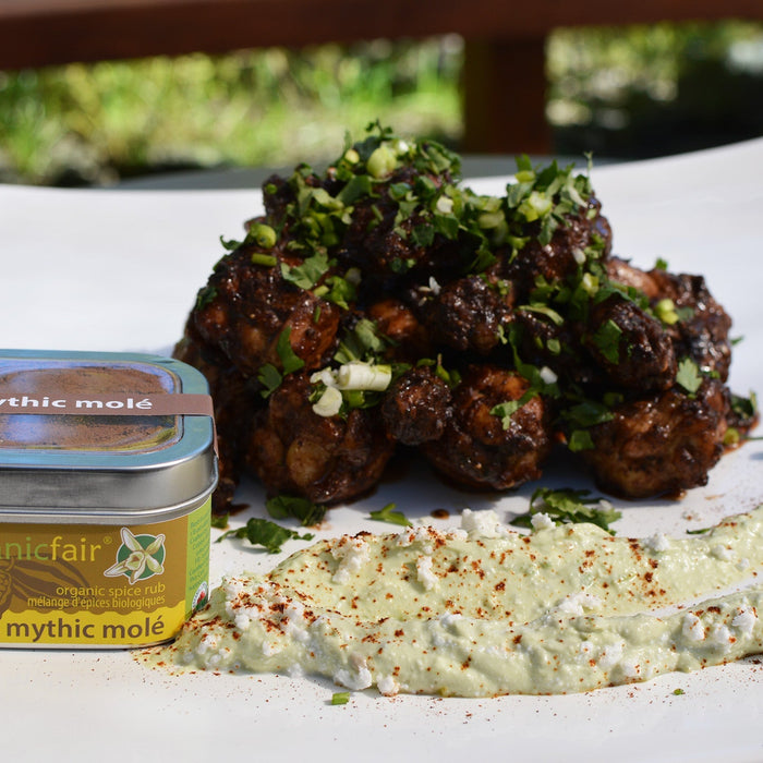 Mole Poblano Chicken Wings served on plate with mythic mole spice - organicfair.com