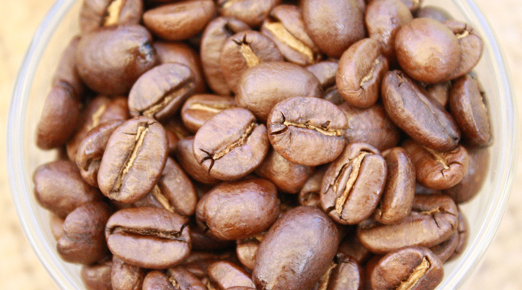 freshly roasted coffee beans organicfair