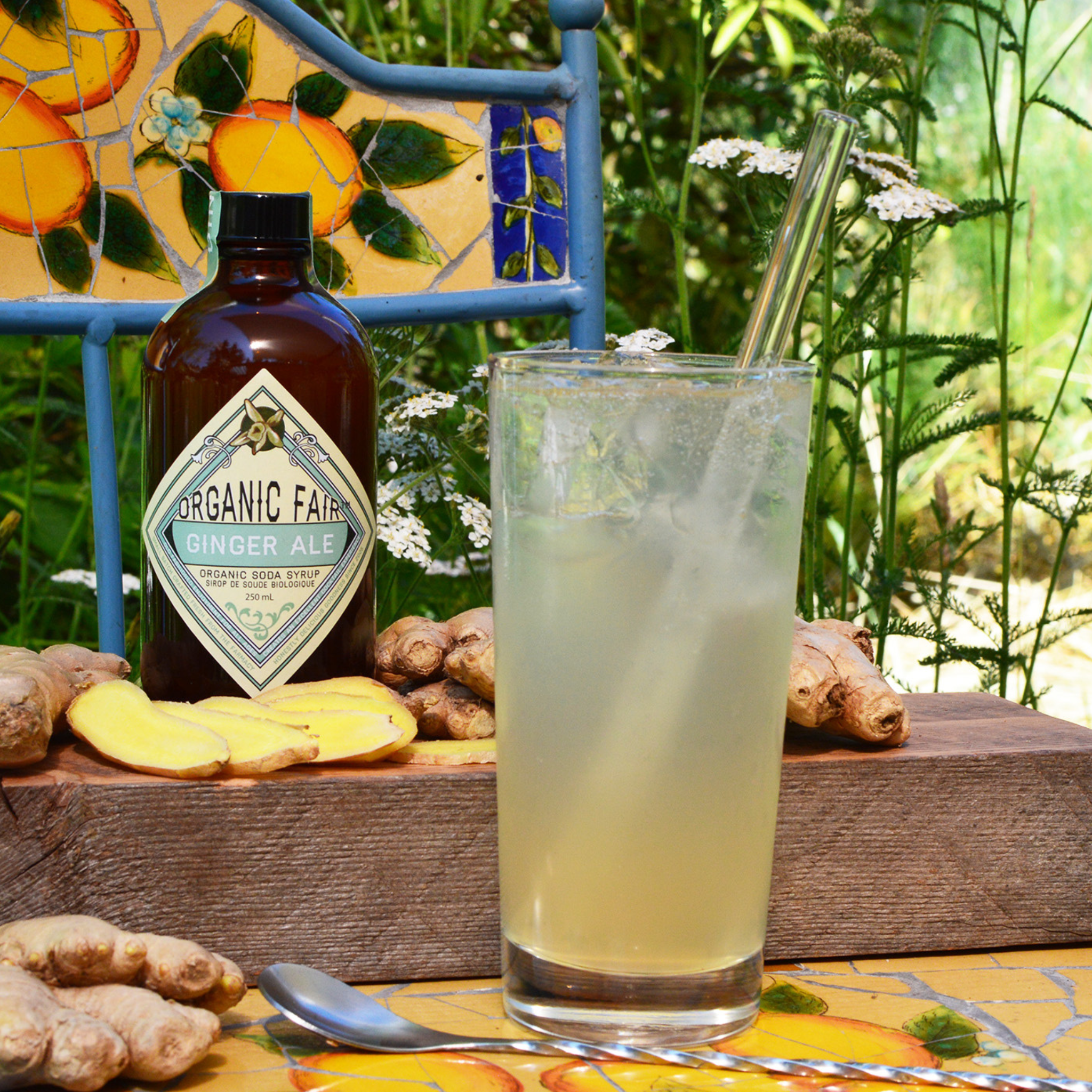 Ginger Ale Soda Syrup - organicfair.com