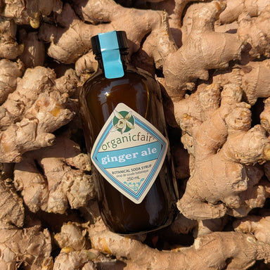 Ginger Ale Soda Syrup - organicfair.com
